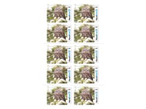 Markenheft 1,07 Euro Kompaktbrief "Tierisch Nordisch"