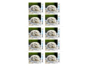 Markenheft 1,77 Euro Großbrief "Tierisch Nordisch"