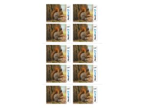 Markenheft 2,87 Euro Maxibrief "Tierisch Nordisch"