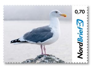 Tierisch Nordisch - Möwe - Briefmarke Postkarte