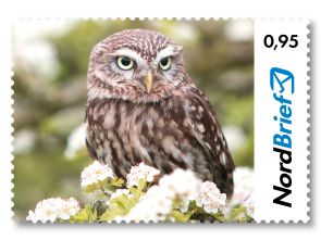 Tierisch Nordisch - Eule - Briefmarke Kompaktbrief