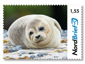 Tierisch Nordisch - Robbe - Briefmarke Großbrief