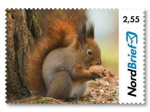 Tierisch Nordisch - Eichhörnchen - Briefmarke Maxibrief